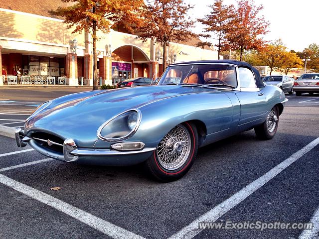 Jaguar E-Type spotted in Reston, Virginia