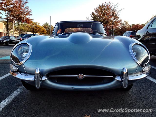 Jaguar E-Type spotted in Reston, Virginia