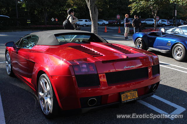Lamborghini Gallardo spotted in Manhasset, New York
