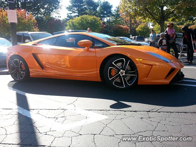 Lamborghini Gallardo spotted in Carle place, New York