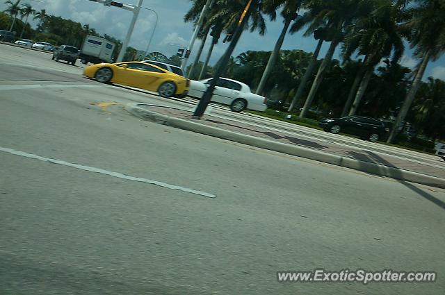 Lamborghini Gallardo spotted in Boca Raton, Florida