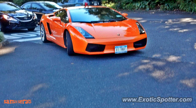 Lamborghini Gallardo spotted in Manhasset, New York