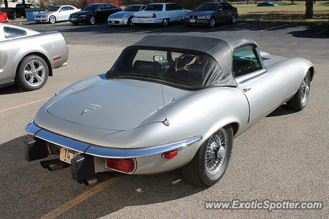 Jaguar E-Type spotted in Springfield, Illinois