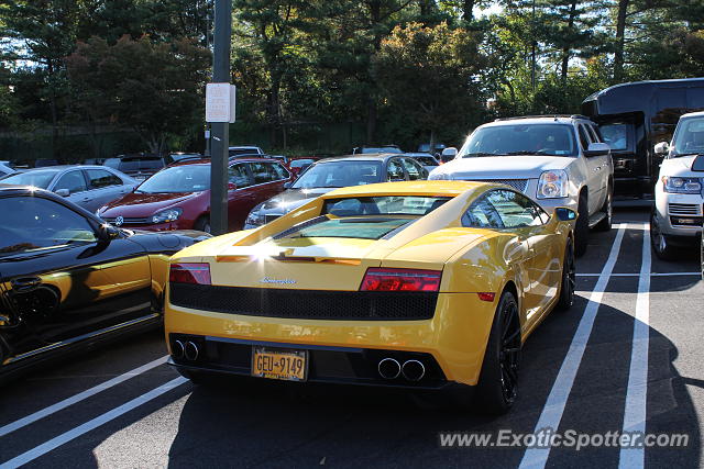 Lamborghini Gallardo spotted in Manhasset, New York