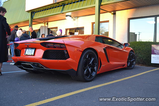 Lamborghini Aventador spotted in Easton, Pennsylvania