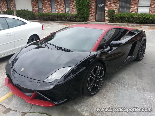 Lamborghini Gallardo spotted in Jacksonville, Florida