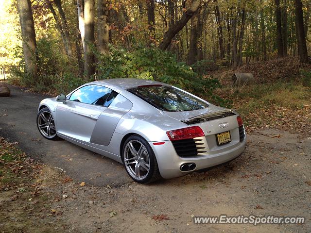 Audi R8 spotted in Harrington Park, New Jersey