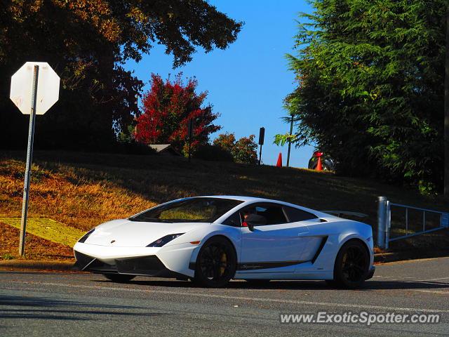 Lamborghini Gallardo spotted in Charlotte, North Carolina