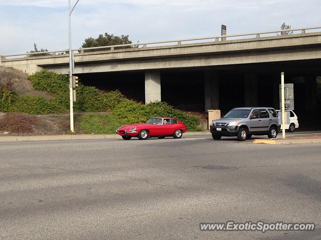 Jaguar E-Type spotted in Sunnyvale, California