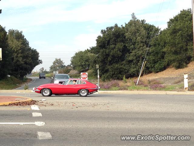 Jaguar E-Type spotted in Sunnyvale, California