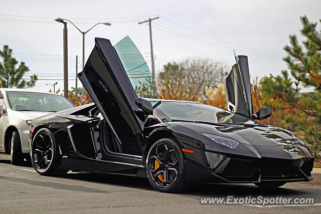 Lamborghini Aventador spotted in Long branch, New Jersey