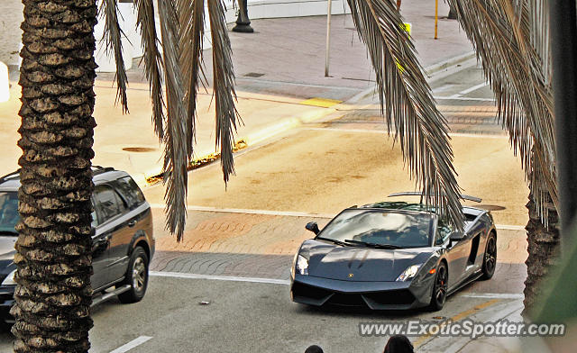 Lamborghini Gallardo spotted in Ft Lauderdale, Florida