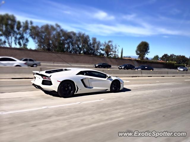 Lamborghini Aventador spotted in Orange, California