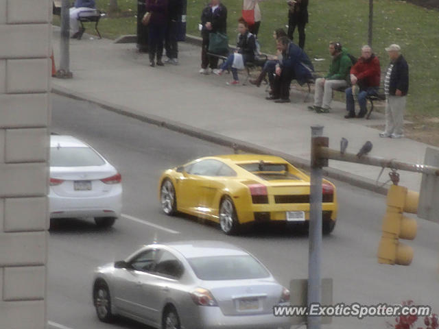 Lamborghini Gallardo spotted in Pittsburgh, Pennsylvania