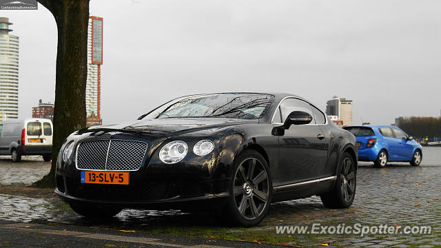 Bentley Continental spotted in Rotterdam, Netherlands
