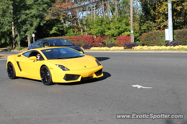 Lamborghini Gallardo spotted in Manhasset, New York