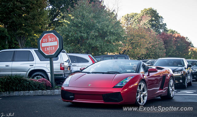 Lamborghini Gallardo spotted in Manhasset, New York