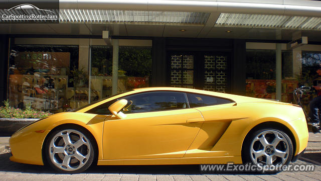 Lamborghini Gallardo spotted in Rotterdam, Netherlands