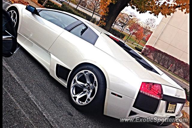 Lamborghini Murcielago spotted in Paramus, New Jersey