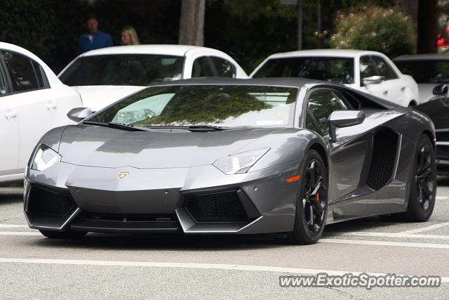 Lamborghini Aventador spotted in Carmel, California