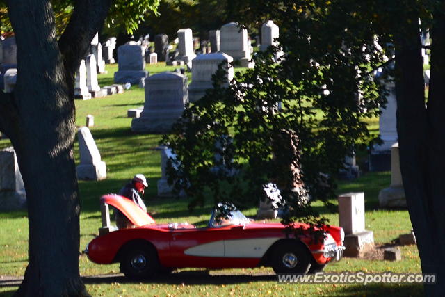 Other Vintage spotted in Webster, New York