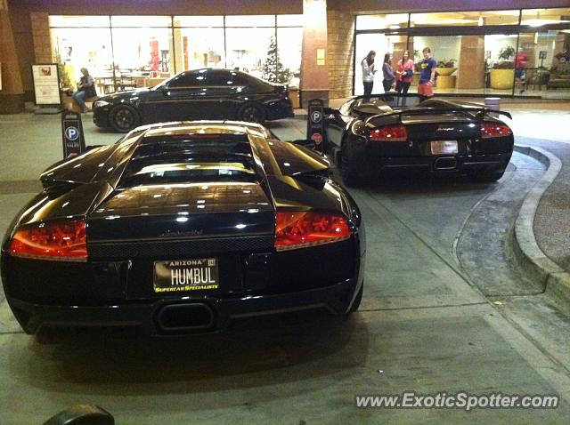Lamborghini Murcielago spotted in Scottsdale, Arizona
