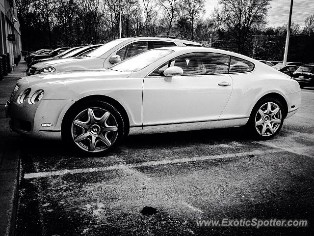Bentley Continental spotted in Potomac, Maryland