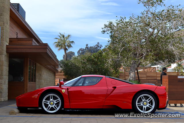 Ferrari Enzo spotted in Malibu, California