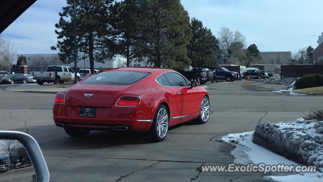 Bentley Continental spotted in Littleton, Colorado