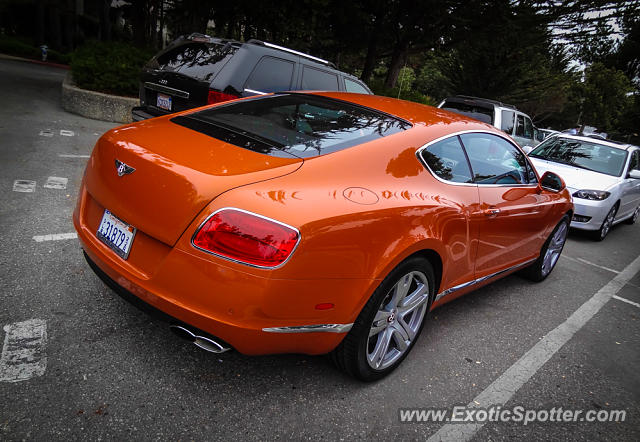 Bentley Continental spotted in Carmel, California