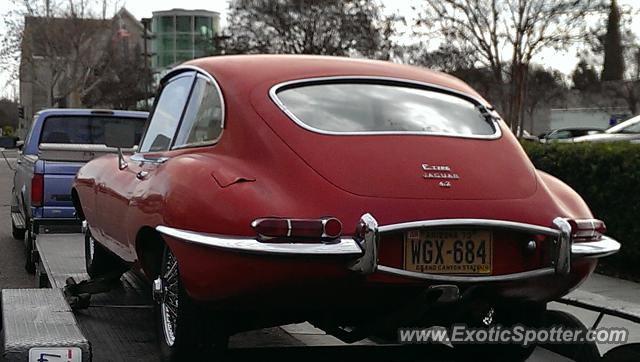 Jaguar E-Type spotted in Anaheim, California
