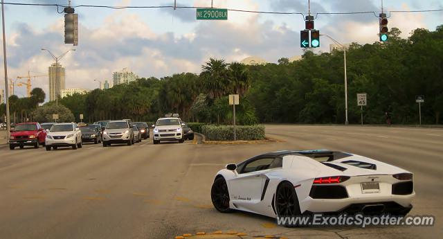 Lamborghini Aventador spotted in Miami, Florida
