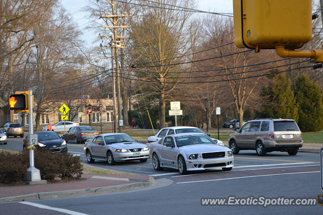 Saleen S281 spotted in Davidson, North Carolina