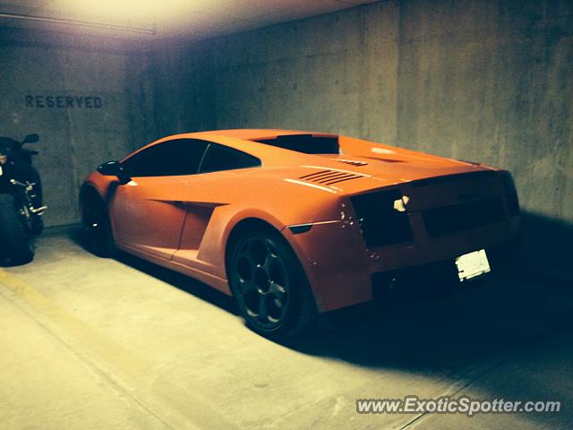 Lamborghini Gallardo spotted in Bloomington, Indiana