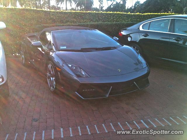 Lamborghini Gallardo spotted in Montecito, California