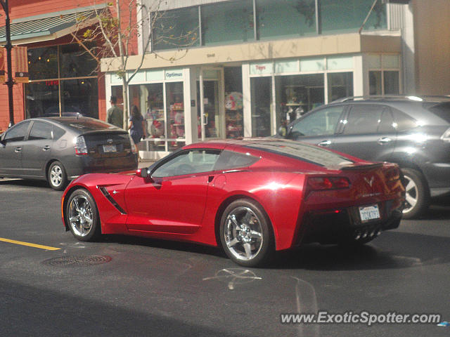 [http://www.exoticspotter.com/images/139/138228.jpg]