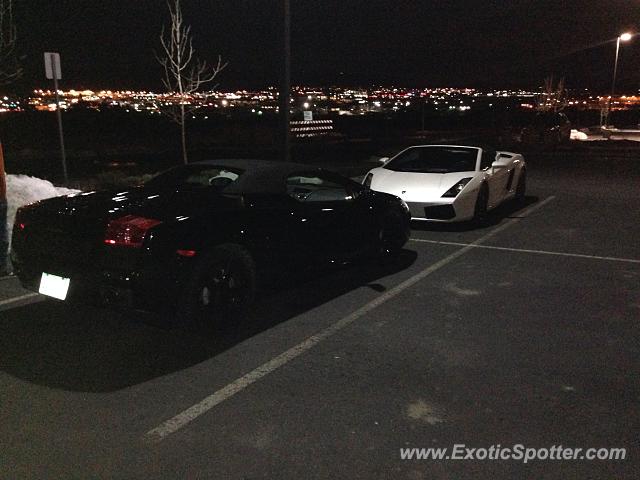 Lamborghini Gallardo spotted in Castle Rock, Colorado