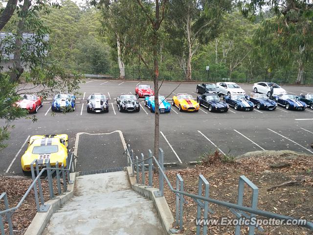Shelby Cobra spotted in Warragamba, NSW, Australia