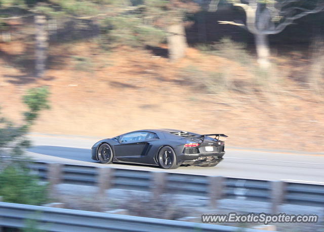 Lamborghini Aventador spotted in Monterey, California