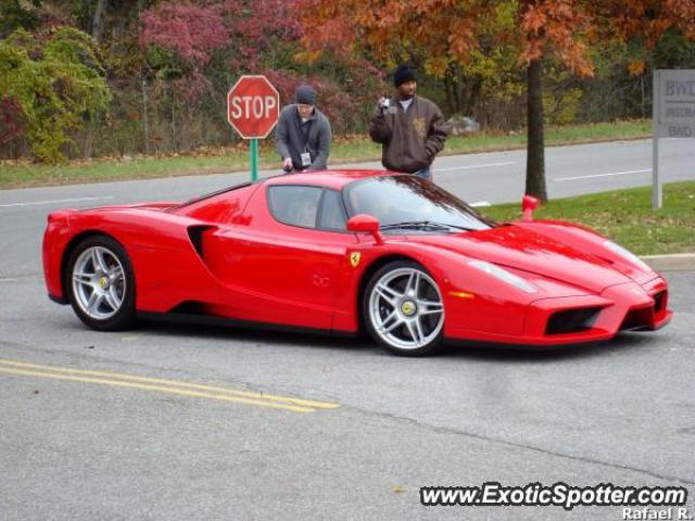 Ferrari Enzo spotted in Jericho, New York