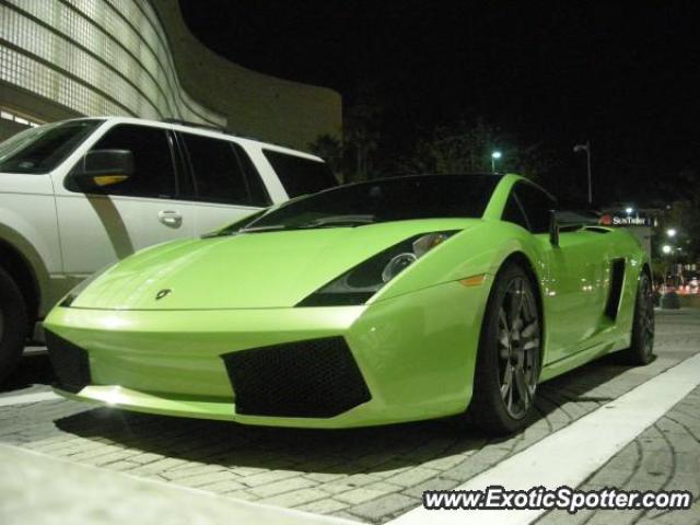 Lamborghini Gallardo spotted in Orlando, Florida