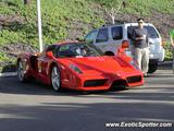 Ferrari Enzo