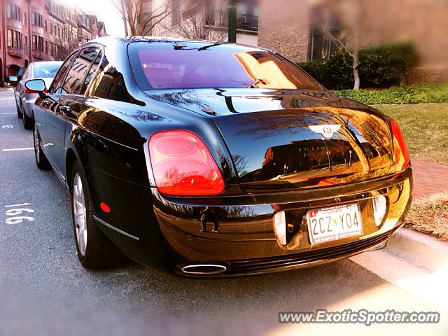 Bentley Continental spotted in Potomac, Maryland