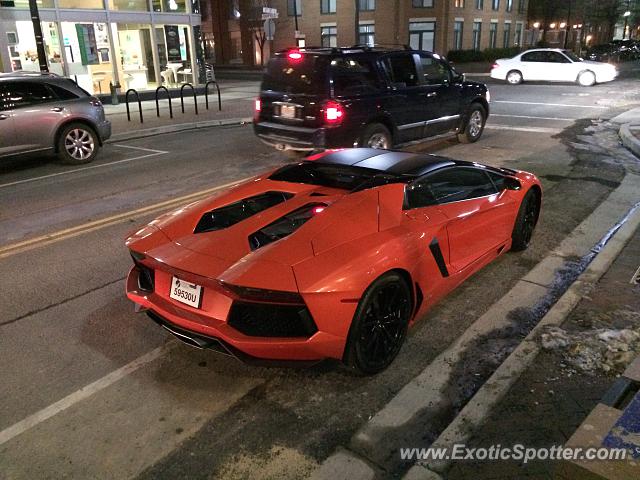 Lamborghini Aventador spotted in Arlington, Virginia