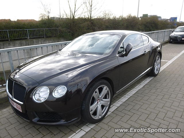 Bentley Continental spotted in Zaventem, Belgium