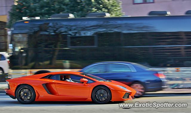 Lamborghini Aventador spotted in Atlanta, Georgia