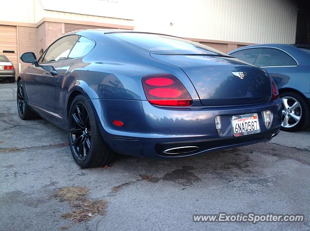 Bentley Continental spotted in Knoxville, Tennessee