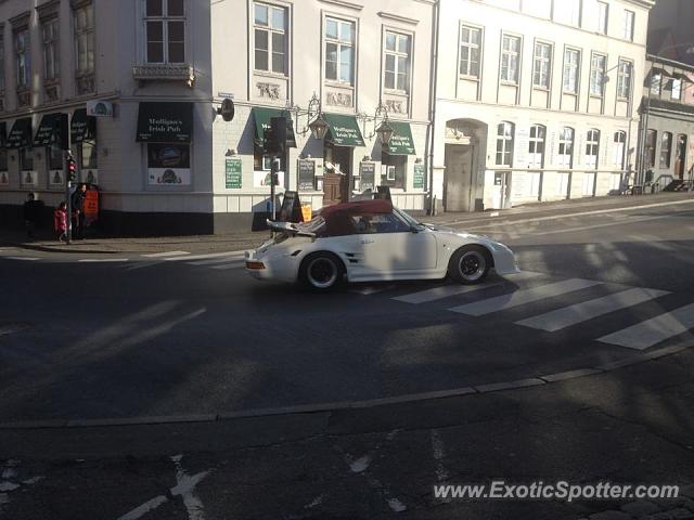 Porsche 911 spotted in Roskilde, Denmark