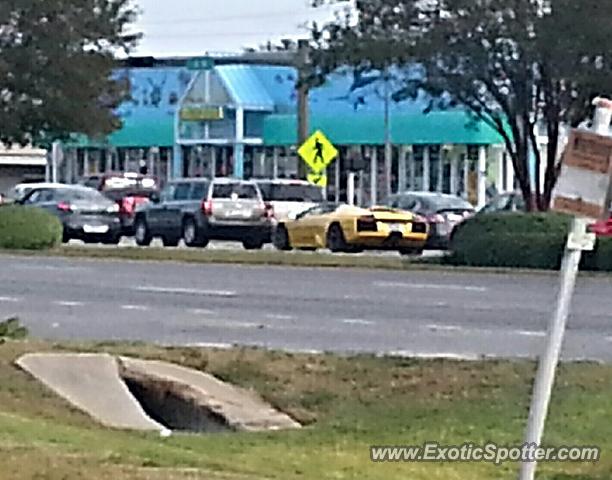 Lamborghini Murcielago spotted in Destin, Florida