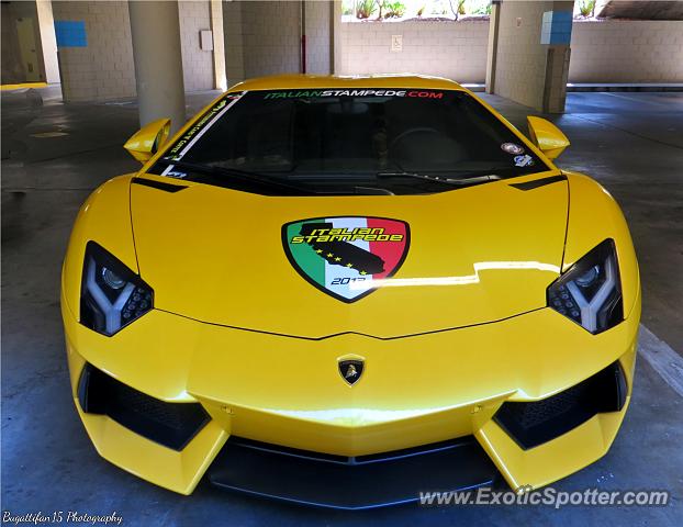 Lamborghini Aventador spotted in Monterey, California